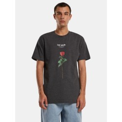 MISTER TEE TEE SHIRT LOST TOUTH ROSE