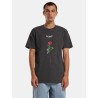 MISTER TEE TEE SHIRT LOST TOUTH ROSE