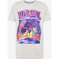 MISTER TEE TEE SHIRT GRIS CLAIR WONDERFUL