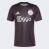 MAILLOT DE FOOT REPLICA ADIDAS AMSTERDAM AJAX TRAINING 24/25