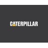 Caterpillar